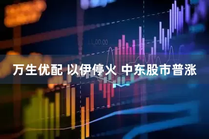 万生优配 以伊停火 中东股市普涨