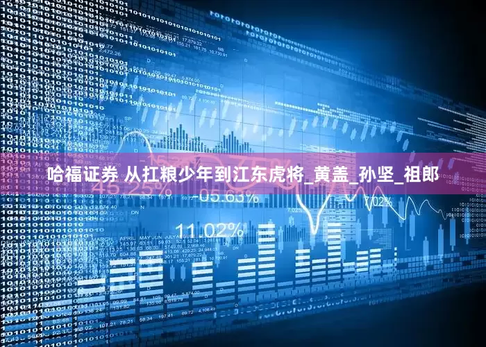 哈福证券 从扛粮少年到江东虎将_黄盖_孙坚_祖郎